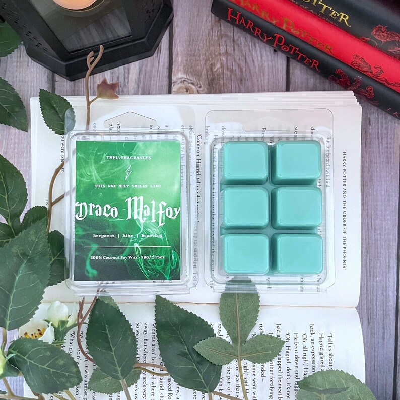 Draco Malfoy Harry Potter Wizarding World Book Inspired Soy Candle