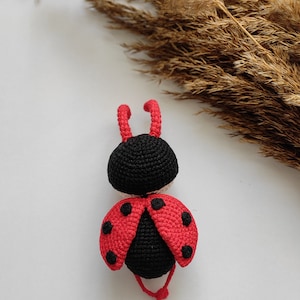 Ladybug, Amigurumi Animal, English Amigurumi Pattern, Amigurumi Ladybug,Crochet Ladybug image 6
