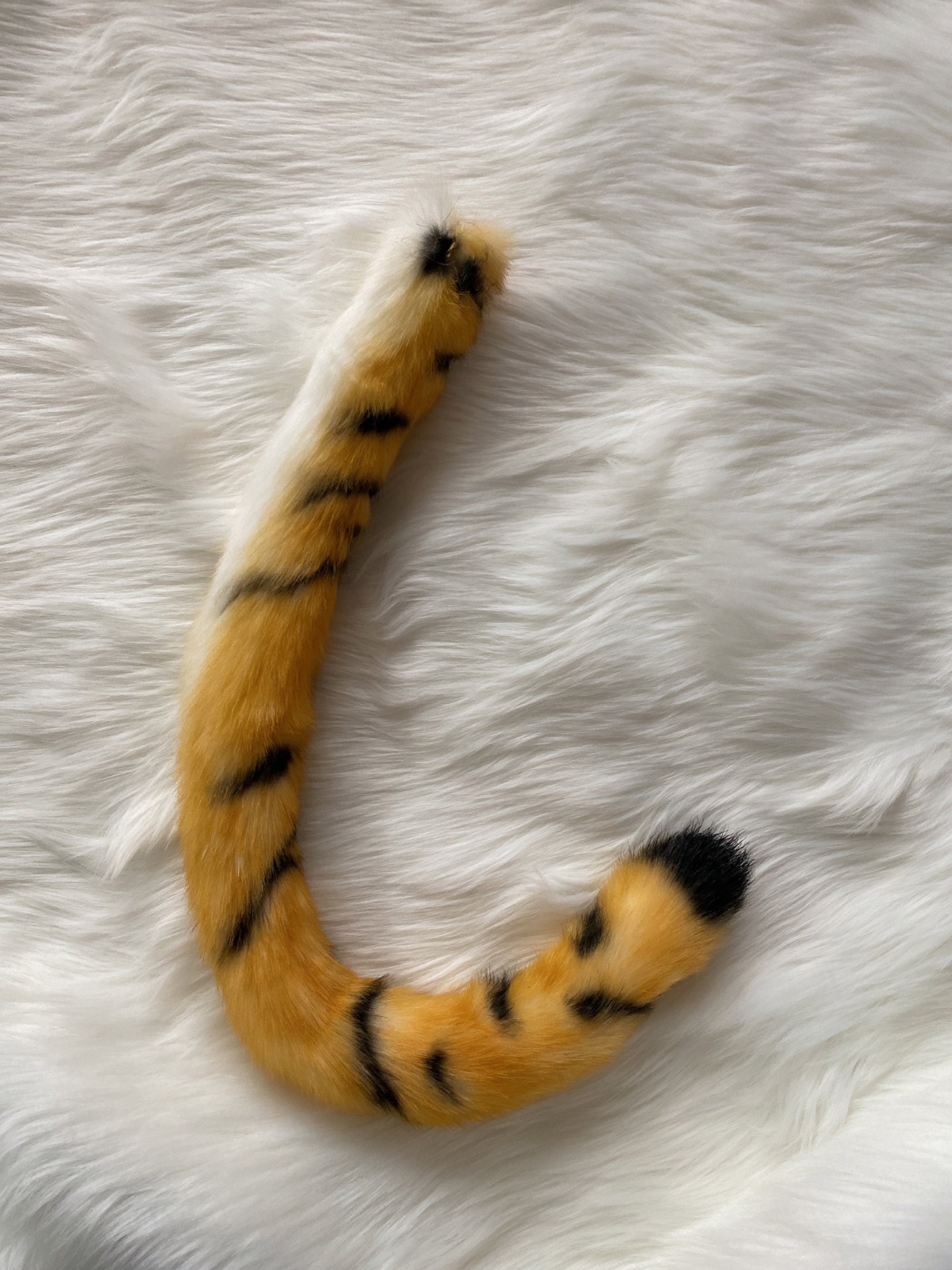 Where to Get A Tail Therian Cat