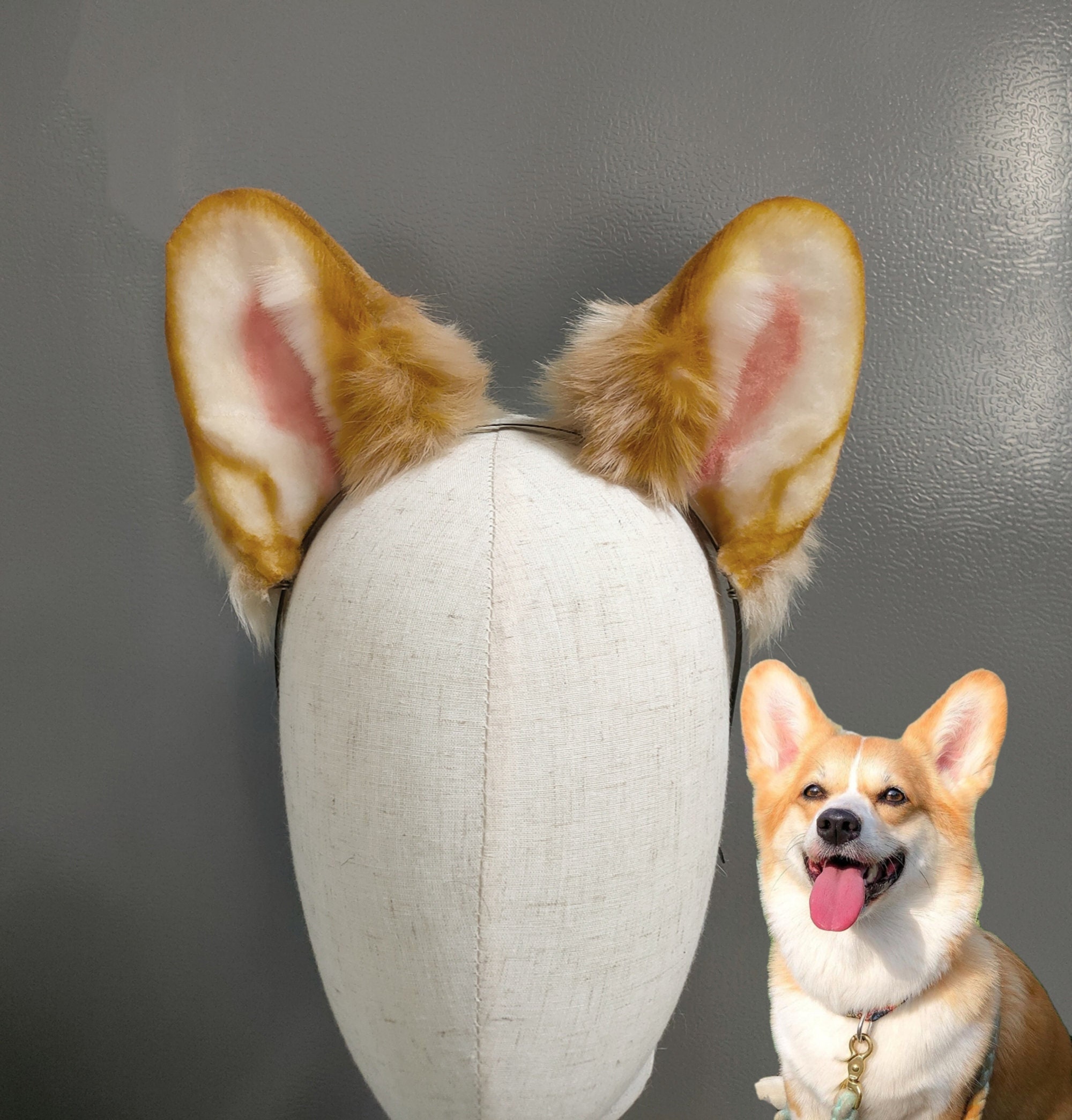 Chihuahua ears cheap headband