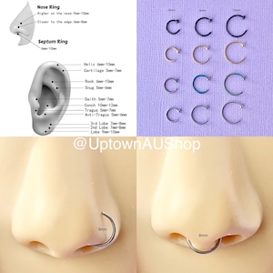 RVS hoepel, FAKE Faux geen piercing neusring of piercing Helix kraakbeen toren Conch Daith tragus kwab oorbel 20 gauge draad sierlijk