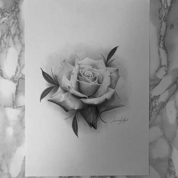 Rose on A4 sheet with graphite technique