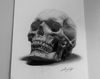 Skull on A4 sheet with graphite technique