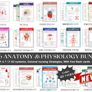May include: A set of anatomy and physiology flashcards, illustrating various human body systems. The cards display diagrams and labels including "The Cell," "Respiratory System," and "Digestive System." The text "2026 Anatomy & Physiology Bundle" is also present.