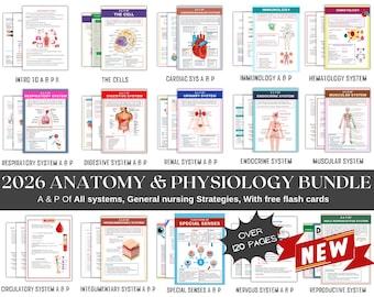 Anatomy & Physiology Bundle 2026– Study Guide, Flashcards, Medical Notes