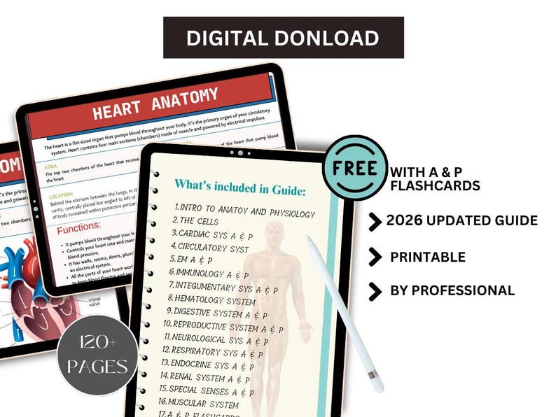 May include: Digital download of a heart anatomy guide on a tablet, with the text "Heart Anatomy" and "What's included in Guide". Includes A&P flashcards, a 2026 updated guide, and is printable. The image also says "120+ pages".