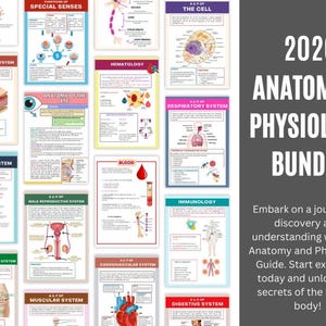 May include: A collection of educational anatomy and physiology posters. The posters cover various human body systems, including the integumentary, endocrine, and muscular systems. The title "2026 Anatomy & Physiology Bundle" is displayed in large white text on a gray background.