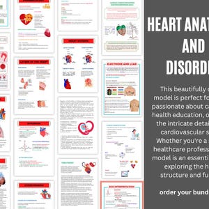 Cardiac Study Guide: Heart Anatomy, EKG Interpretation (Digital Download)