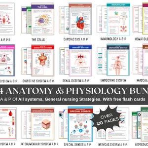 Bundel Anatomie en Fysiologie met Flashcards- Studiegids anatomie- Aantekeningen verpleegkunde- Geavanceerde anatomie-fysiologiebundel- Medische aantekeningen