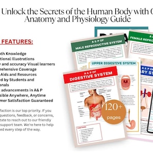 May include: A collection of educational anatomy and physiology guides. The guides cover various body systems, including the digestive and reproductive systems. The image includes a smartphone displaying a guide and highlights key features like in-depth knowledge and educational illustrations.