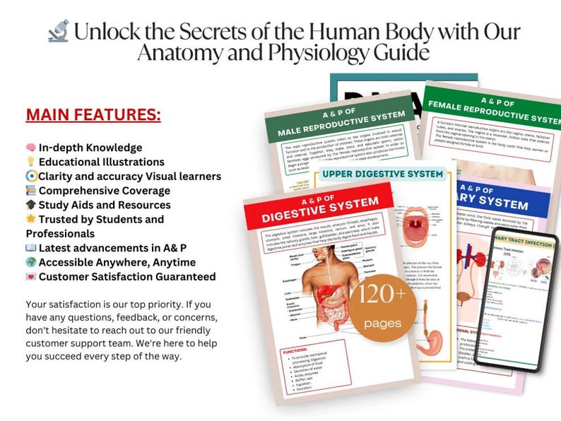 May include: A collection of educational anatomy and physiology guides. The guides cover various body systems, including the digestive and reproductive systems. The image includes a smartphone displaying a guide and highlights key features like in-depth knowledge and educational illustrations.