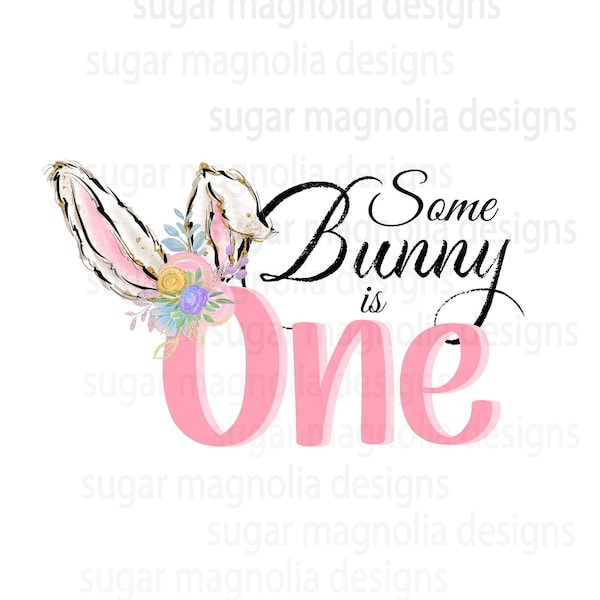 Some bunny is One, Easter sublimation design, first birthday PNG for sublimation, bodysuit t shirt sublimation design, instant download