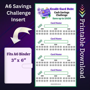 A6 Debt Tracker Savings Challenge Imprimible para pago de tarjetas de crédito Ahorro de dinero Fondos de amortización para cheques de pago familiares Presupuesto para pago de facturas
