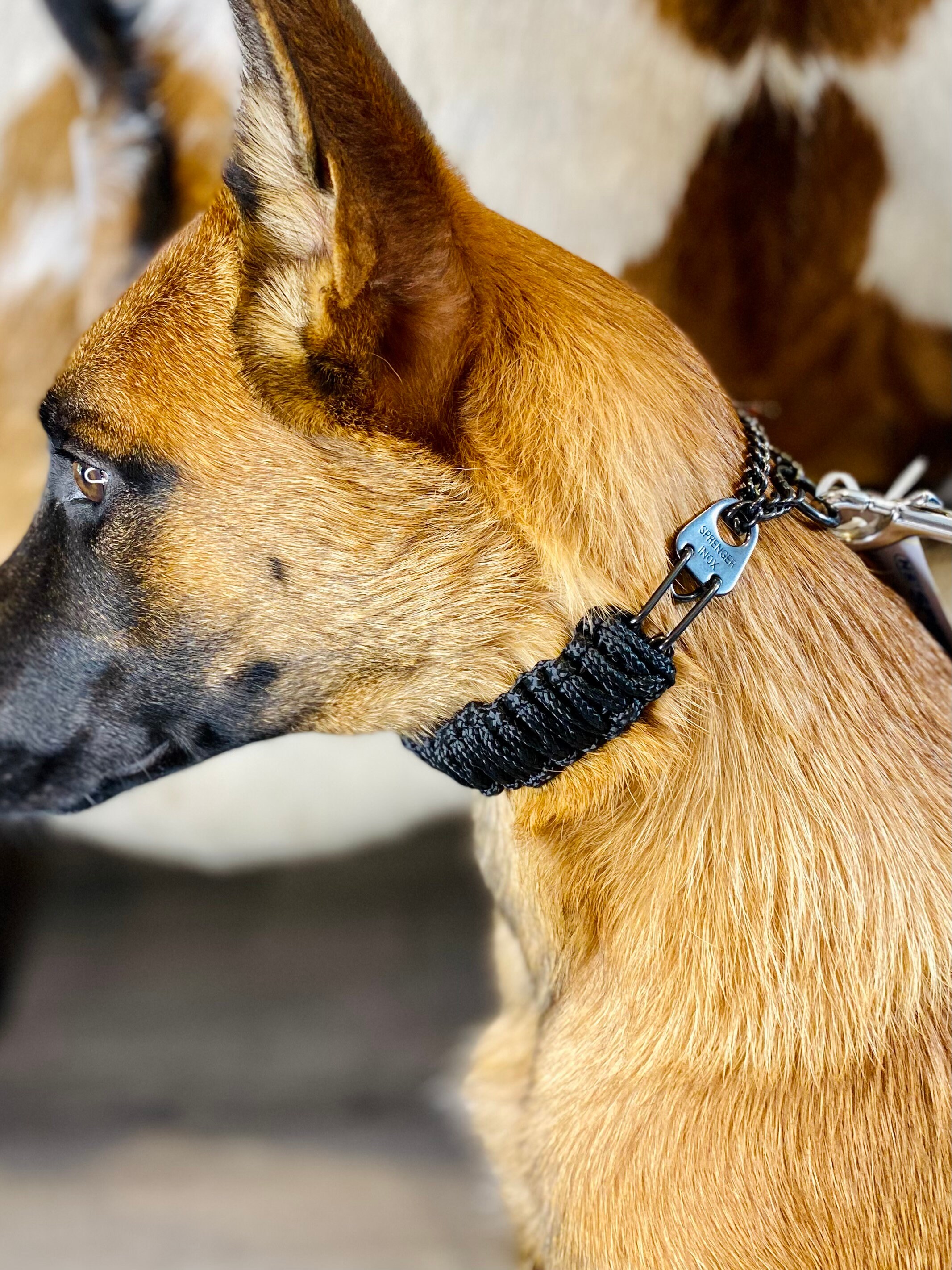 Paracord prong collar discount