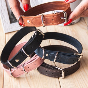 Engraved dog collar, Custom dog collar, Large dog collar, Small dog collar, Engraved dog collar, Custom pet collar, Boy dog collar image 8