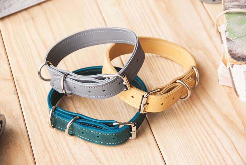 Engraved dog collar, Custom dog collar, Large dog collar, Small dog collar, Engraved dog collar, Custom pet collar, Boy dog collar image 7