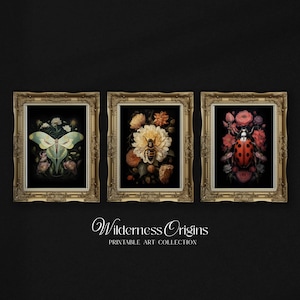 May include: Three framed prints with gold frames, each featuring a different insect on a floral background. The first print shows a green moth on a dark green background with white flowers. The second print shows a bee on a white flower with a yellow center. The third print shows a red ladybug on a red flower with a black center.