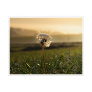 Dandelion Flower Art | Home Decoration | Wall Decor | Digital Print
