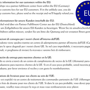 Pu&ograve; includere: Una grafica con testo in inglese, tedesco, italiano, spagnolo e francese che spiega il processo di consegna per i clienti all'interno dell'Unione Europea. La grafica include la bandiera dell'UE con le lettere EU in blu.