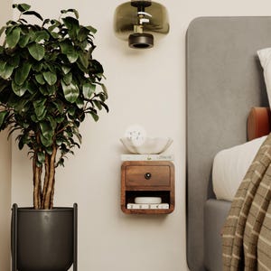 May include: A bedroom scene featuring a large potted plant with dark green leaves, a hanging glass lamp, and a floating wooden nightstand with a drawer. The nightstand has a small bowl and books on top. The bed has a gray headboard.