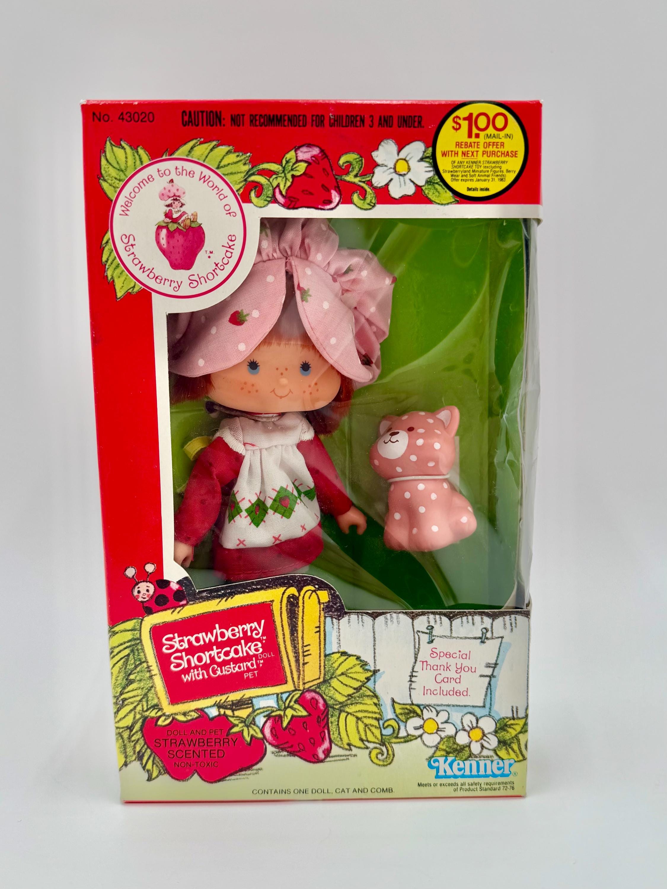 Vintage Kenner 1982 Strawberry Shortcake Doll With Pet Custard Cat
