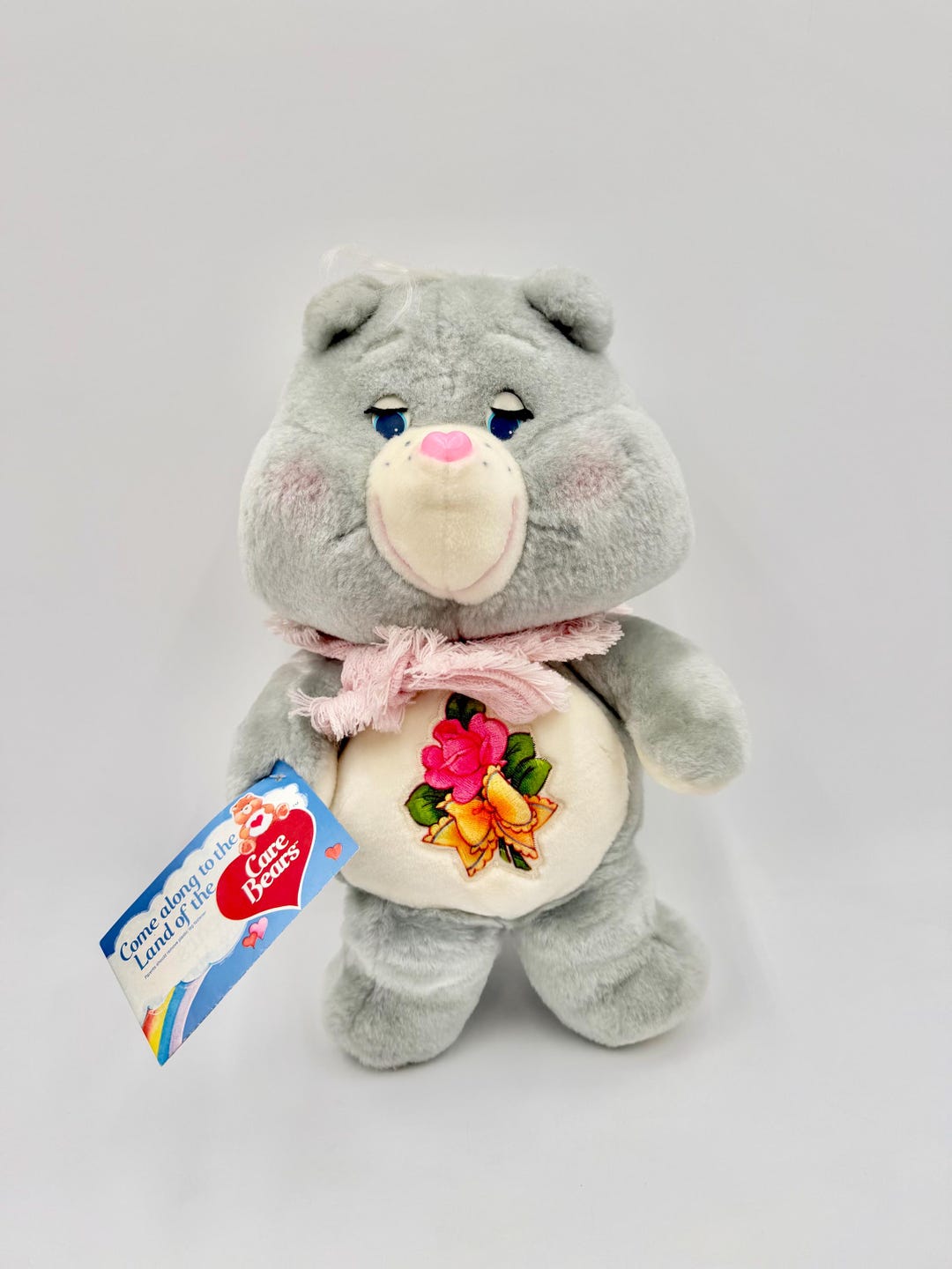 1983 Vintage Kenner Grams Care Bear With Tag - Etsy