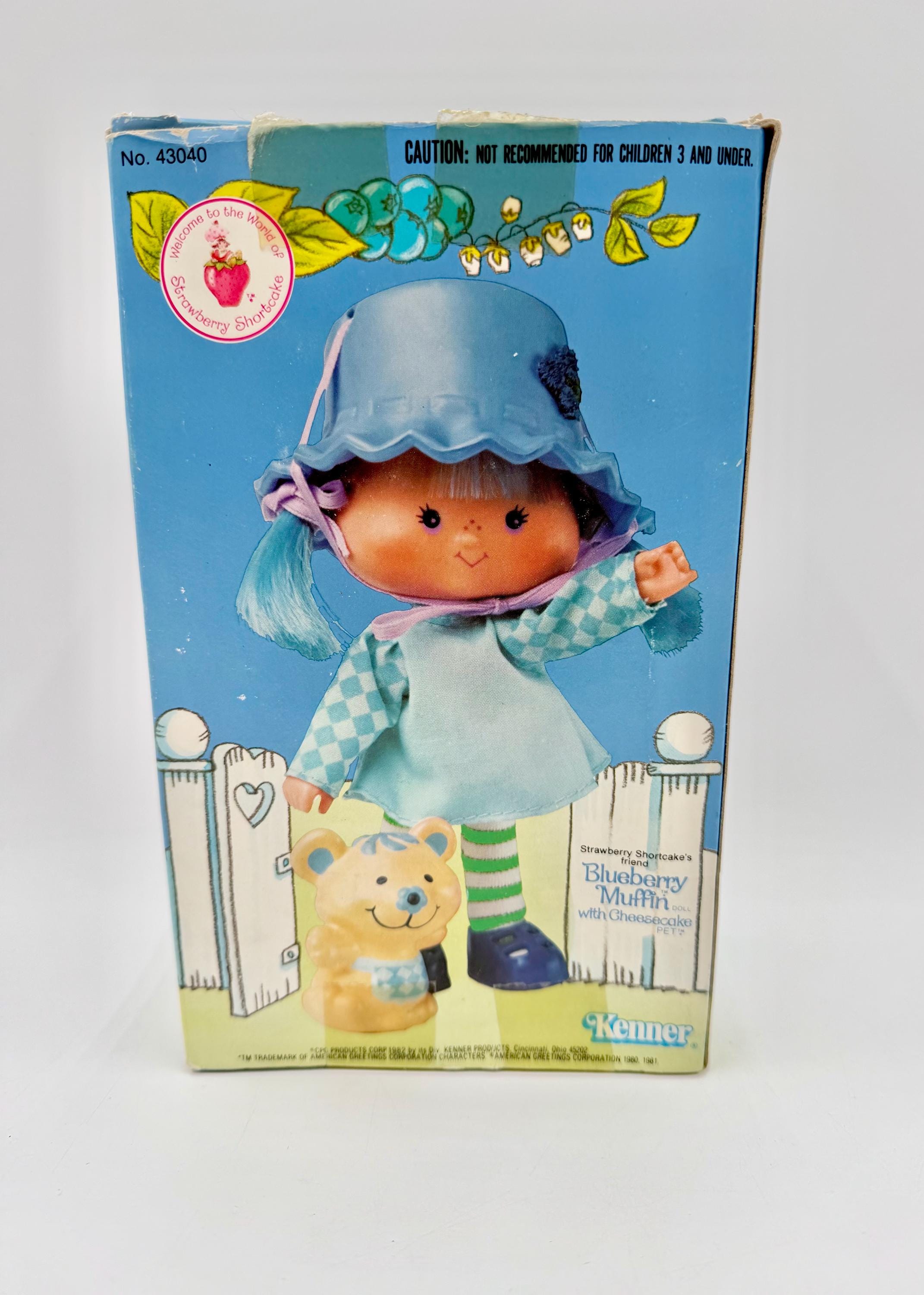 Vintage 1980 Kenner Classic Strawberry Shortcake Friend Blueberry