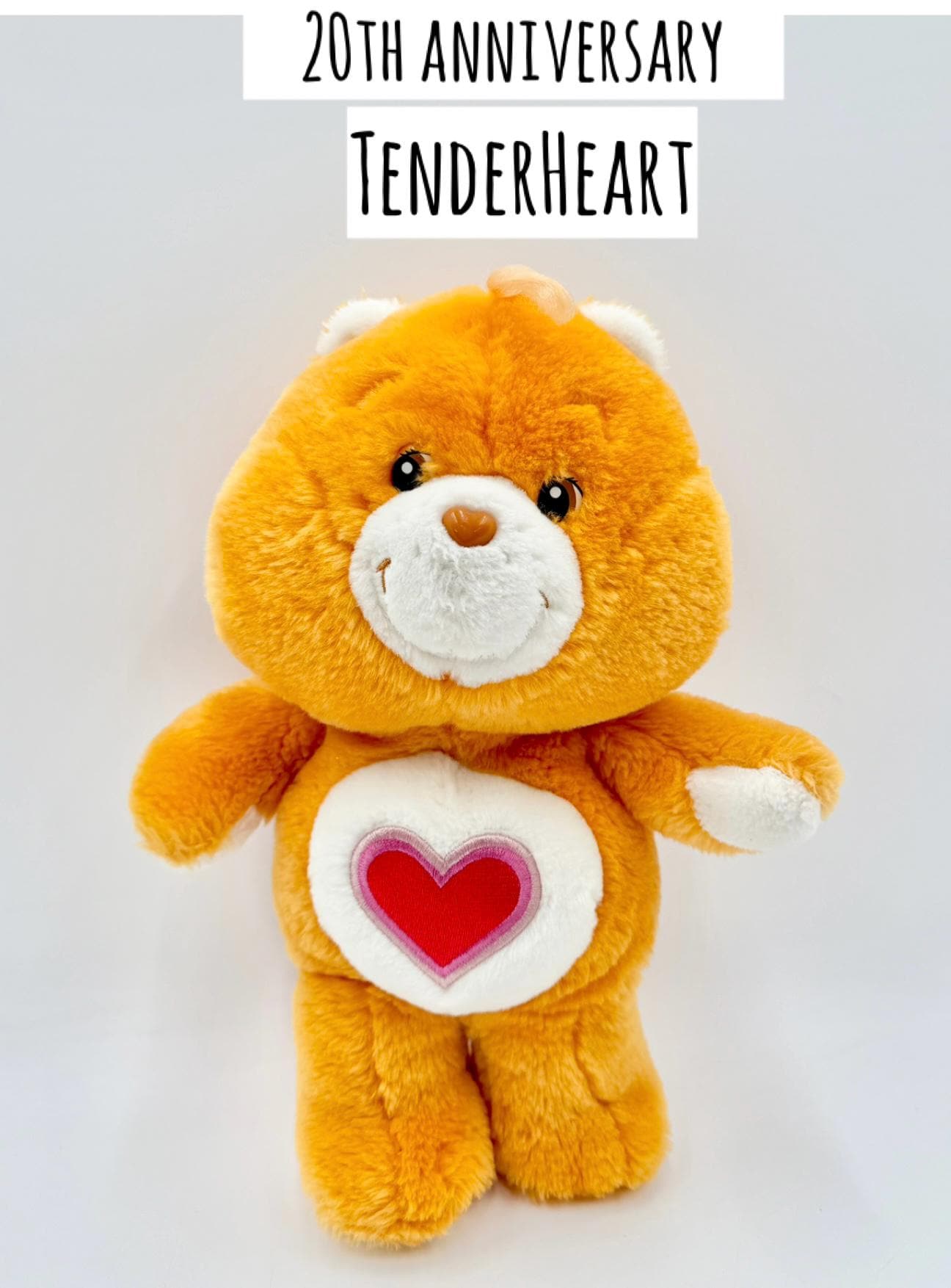 ヴィンテージ/モダン 13インチ ぬいぐるみ ケアベアとケアベアカズンズ