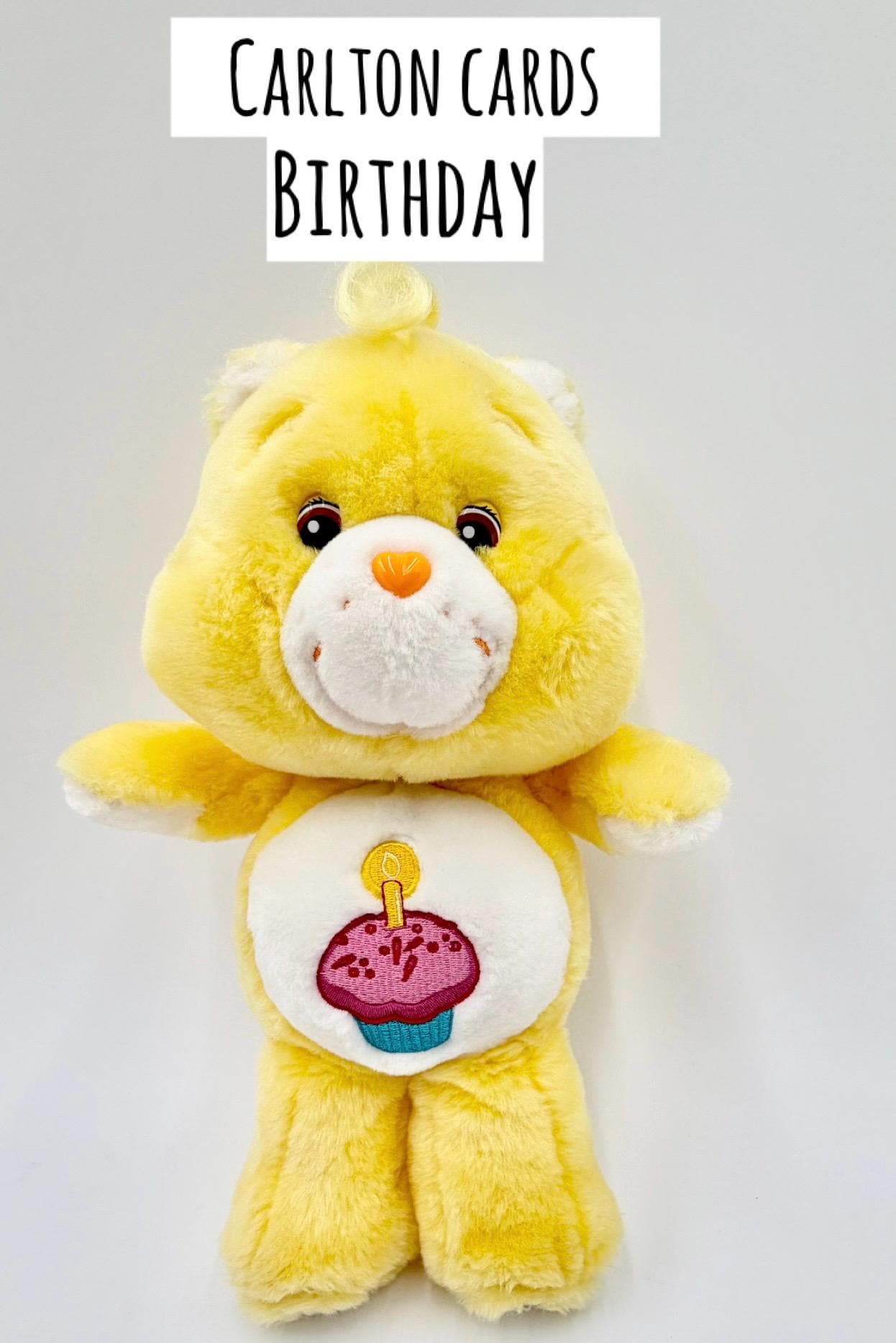 ヴィンテージ/モダン 13インチ ぬいぐるみ ケアベアとケアベアカズンズ