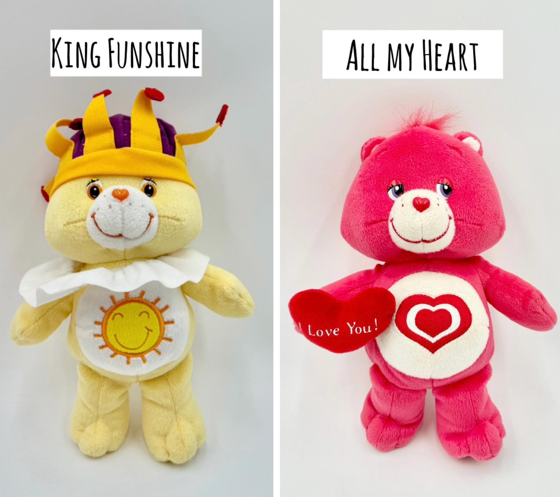 2000年代のヴィンテージ 10インチ ケアベアとケアベアカズンズ