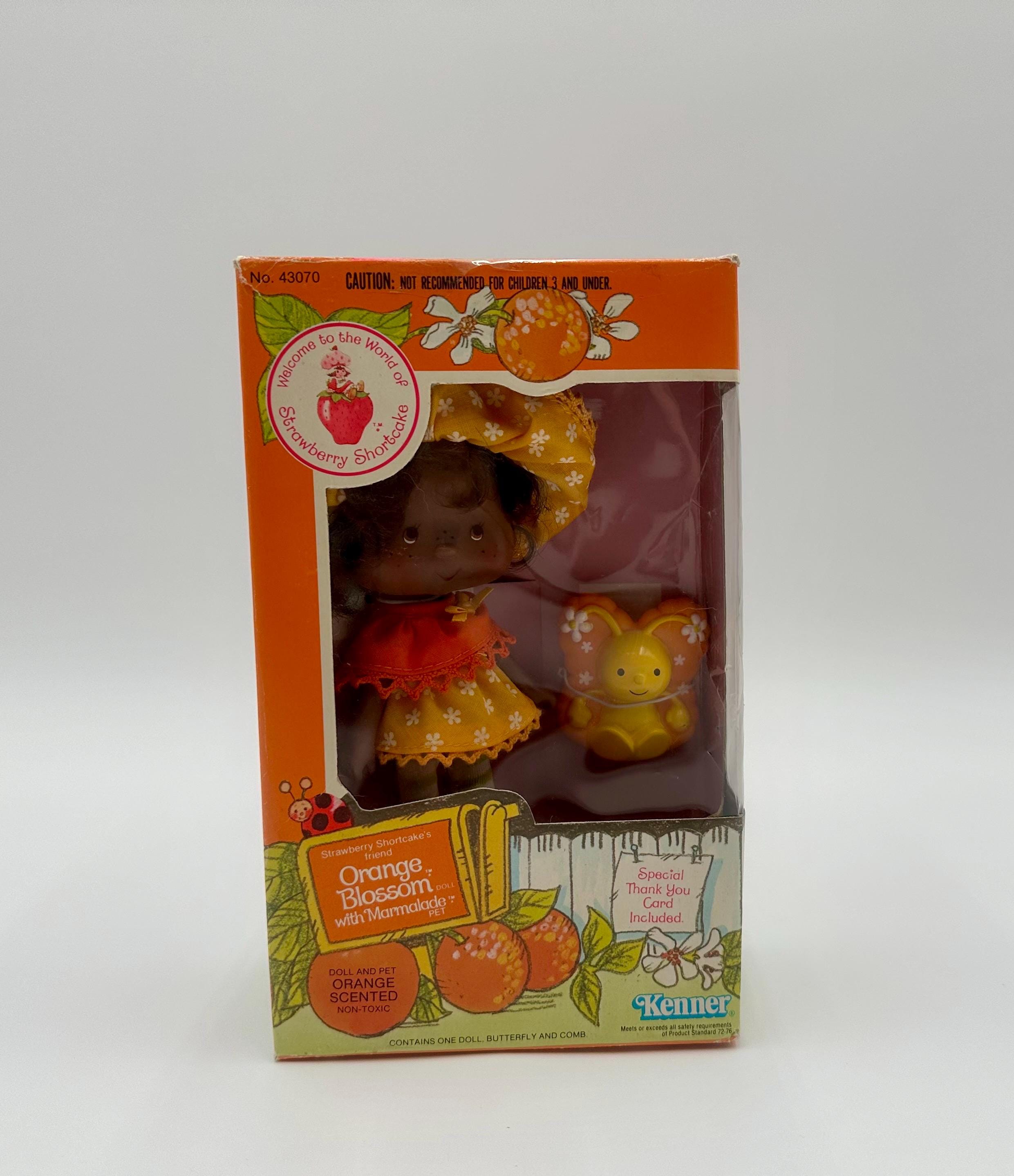 Vintage Kenner 1982 Strawberry Shortcake Doll Orange Blossom With