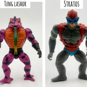 May include: Two action figures: Tung Lashor, a purple and orange reptilian humanoid with a green tongue, and Stratos, a gray humanoid with red and blue accents. The figures are posed against a white background.