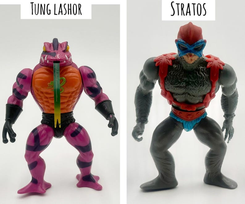 May include: Two action figures: Tung Lashor, a purple and orange reptilian humanoid with a green tongue, and Stratos, a gray humanoid with red and blue accents. The figures are posed against a white background.