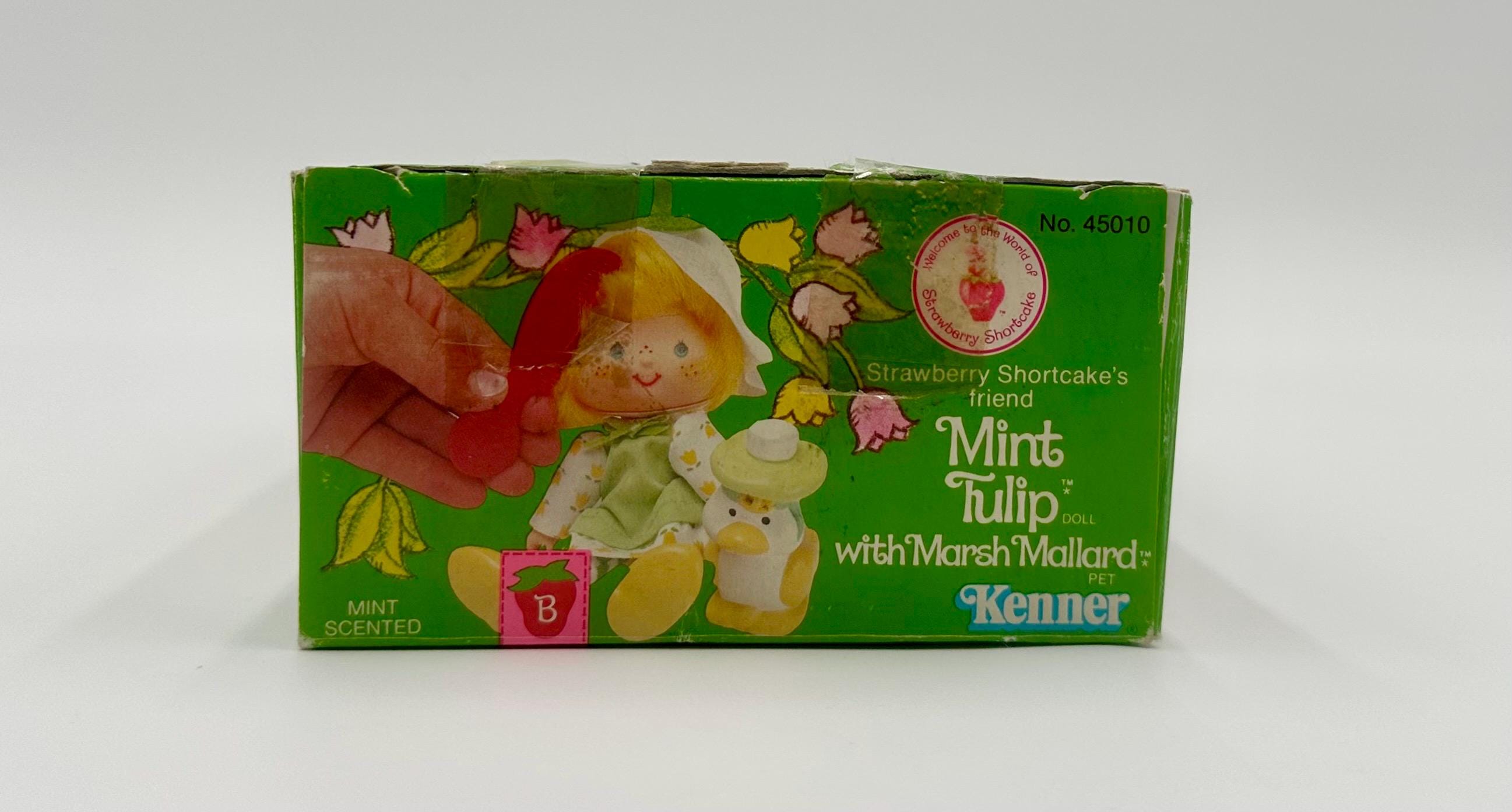 Vintage Kenner 1980s Strawberry Shortcake Mint Tulip With Pet