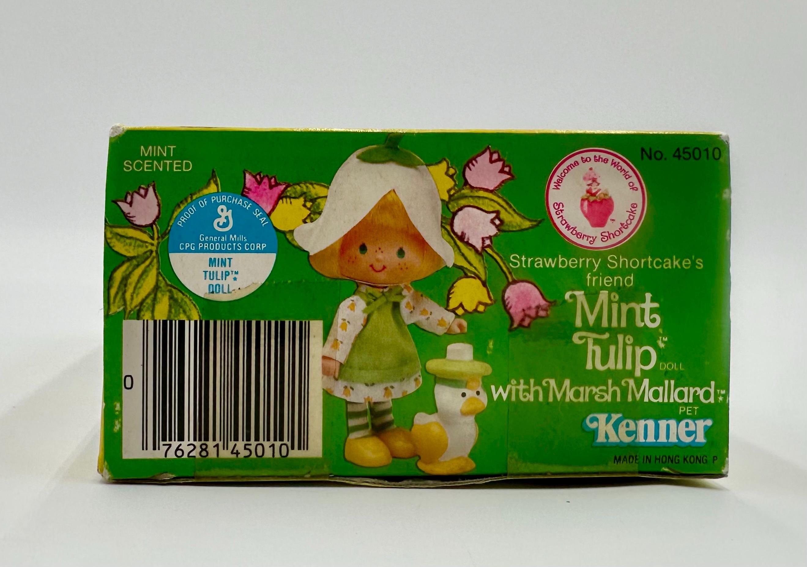 Vintage Kenner 1980s Strawberry Shortcake Mint Tulip With Pet