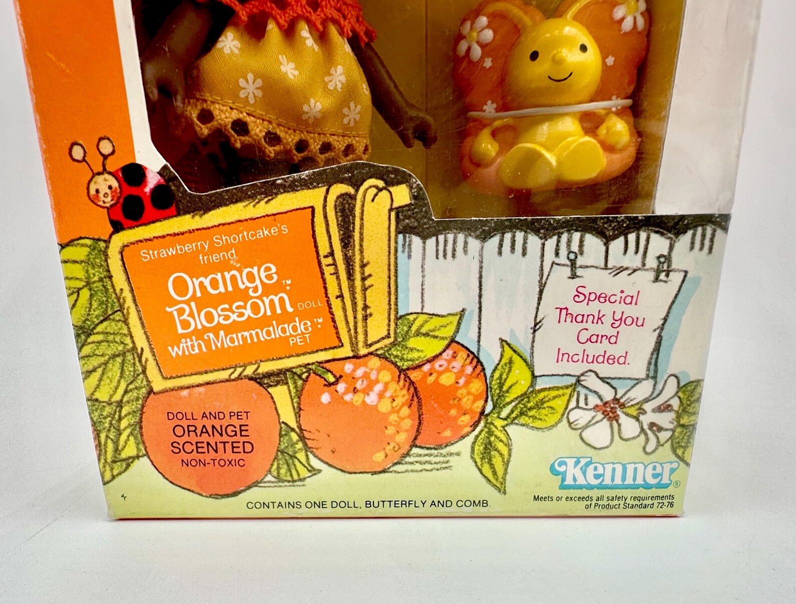 Vintage Kenner 1982 Strawberry Shortcake Doll Orange Blossom With Pet ...