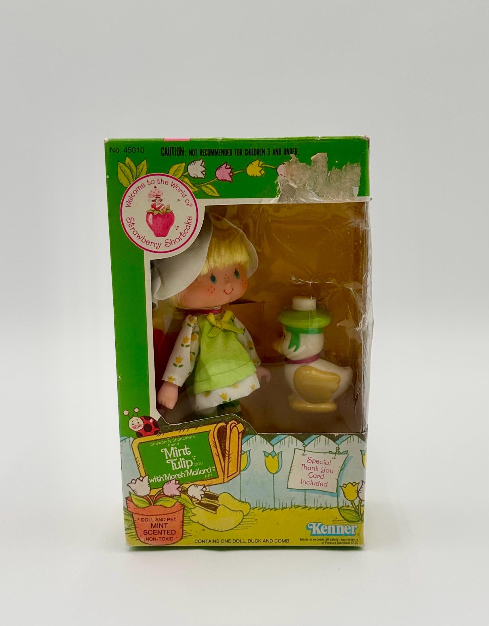 Vintage Kenner 1980s Strawberry Shortcake Mint Tulip With Pet