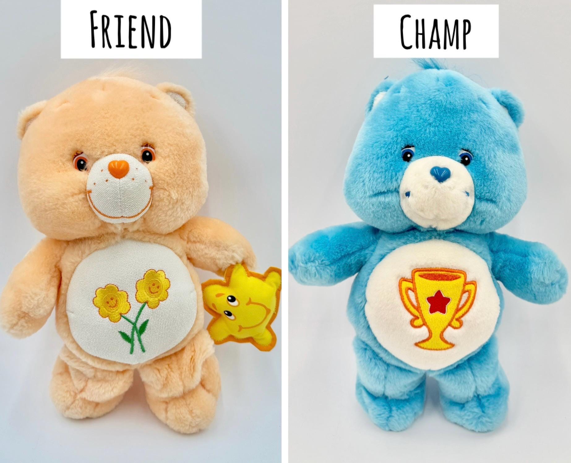 ヴィンテージ/モダン 13インチ ぬいぐるみ ケアベアとケアベアカズンズ