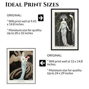 May include: Two framed art prints with Art Deco style illustrations. One features a woman with a peacock, the other a woman with a bird and floral details. Text indicates ideal print sizes.