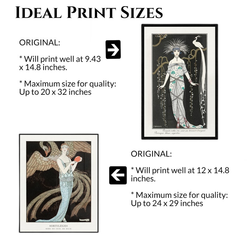May include: Two framed art prints with Art Deco style illustrations. One features a woman with a peacock, the other a woman with a bird and floral details. Text indicates ideal print sizes.