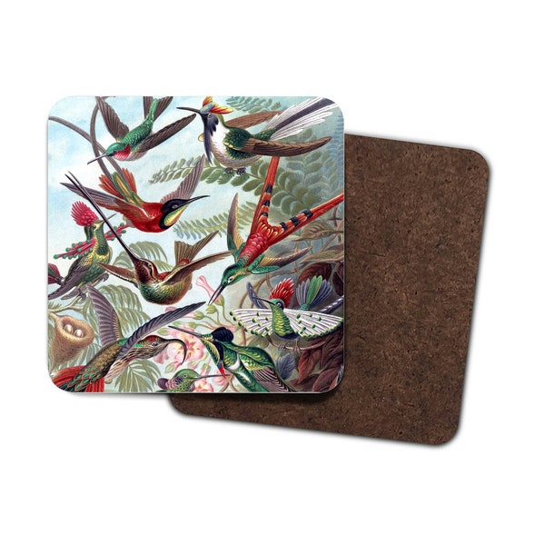 Hummingbird Print Coasters, Set of 4 Drink Coaster Set, Bird Vintage Print. Gift for Her, Housewarming Gift, Bird Lover Gift