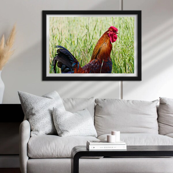 Rooster Digital Download- Farm animal photograph- Chicken rooster wall art- Rustic home decor- Cute Animal Photography- Flock Digital Art