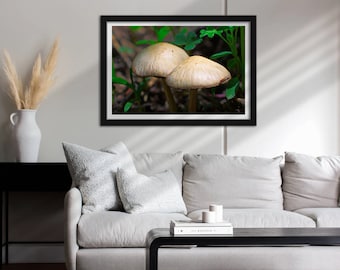 May include: Two light brown mushrooms with white caps growing in a woodland setting. The mushrooms are surrounded by green leaves and are illuminated by sunlight.