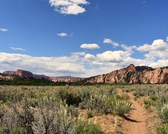 Desert Landscape Print- Zions National Park Print- Red Rock Photography- Desert Photo- Desert- Southern Utah