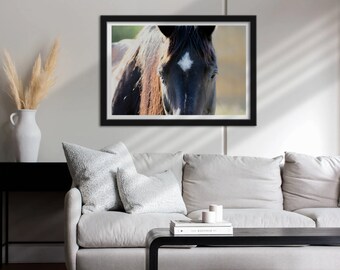 May include: A framed print featuring a close-up of a horse's face. The horse has a dark coat with a white diamond-shaped marking on its forehead. The image is set against a soft, blurred background, with the horse's mane catching the light.
