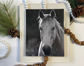 Cowboy Art Print- White Horse Face Print- Horse Photography- Wildlife Photography- Farmhouse- Rustic-Christmas Gift