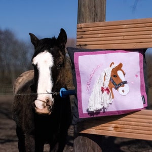 May include: A black and white horse with a white blaze on its face stands next to a wooden fence. A pink pillow with a white horse embroidered on it is attached to the fence. The pillow has the text "Pferdeliebe" embroidered on it.