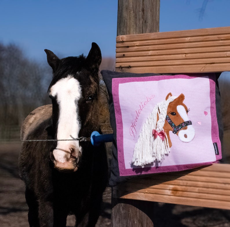 May include: A black and white horse with a white blaze on its face stands next to a wooden fence. A pink pillow with a white horse embroidered on it is attached to the fence. The pillow has the text "Pferdeliebe" embroidered on it.
