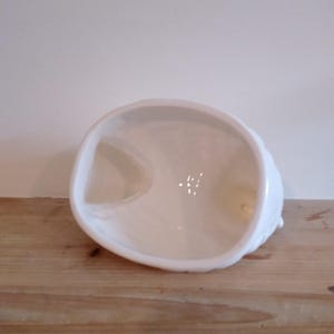 May include: A white, ceramic, seashell-shaped bowl with a glossy finish. The bowl is set on a wooden surface. The interior of the bowl has a smooth, curved design.