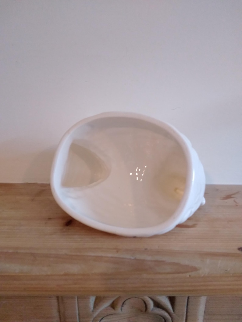 May include: A white, ceramic, seashell-shaped bowl with a glossy finish. The bowl is set on a wooden surface. The interior of the bowl has a smooth, curved design.